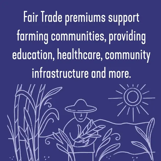 Wholesome Sweeteners - Icing Sugar 454g