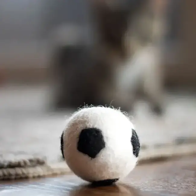 Felt Wool Eco Pet Toys / Fresheners - Sports