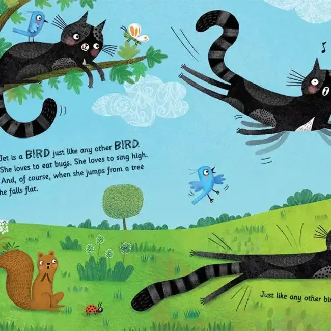 Jet the Cat (Is Not a Cat) - Paperback