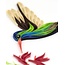 Quilled Card - Broad-Billed Hummingbird