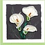 Vietnam Quilled Card - Calla Lily