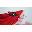 Quilling Card - Cardinal & Cherry Blossom