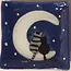 Ecuador Fused Glass Dish - Cats on the Moon