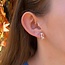 Giraffe Stud Earrings