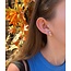 Earrings  - Giraffe Studs