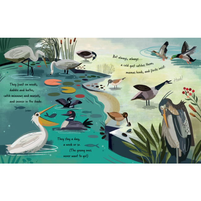 Follow the Flyway - Hardcover