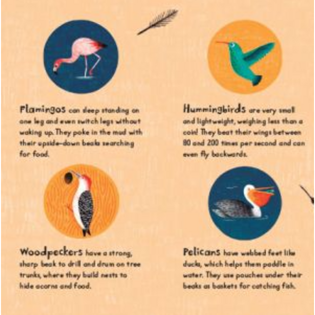 Slide-and-See Board Book - Tweet!