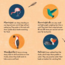 Tweet! Board Book