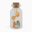 Nativity in a Bottle