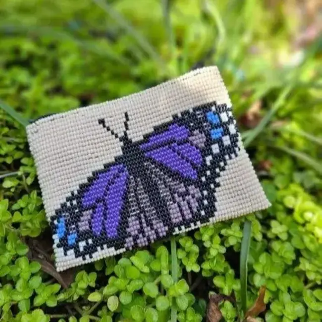 Butterfly Beaded Coin Purse