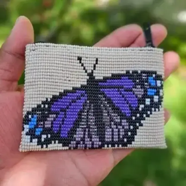 Butterfly Beaded Coin Purse