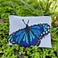 Butterfly Beaded Coin Purse