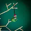 Santa Frog Beaded Ornament