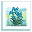 Quilling Card - Forget-Me-Not