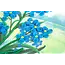 Quilling Card - Forget-Me-Not