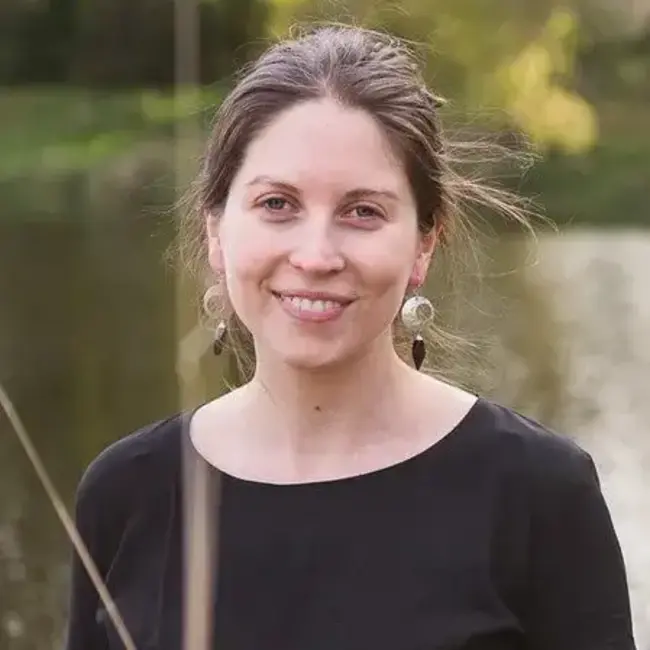 Jupiter Stone Earrings - Silver