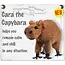 Thailand String Doll Keychain - Cara the Capybara