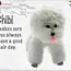 Thailand String Doll Keychain - Chibi the Bichon-Frise