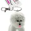 String Doll Keychain - Chibi the Bichon-Frise