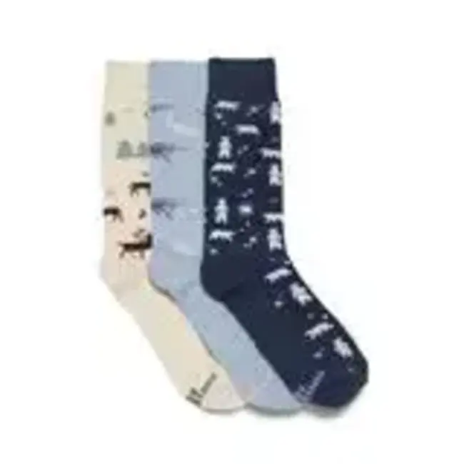 Boxed Set Socks that Protect the Arctic - Small