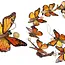 Butterfly Driftwood Capiz Garland