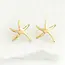 China Earrings  - Starfish Hope Studs in Gold