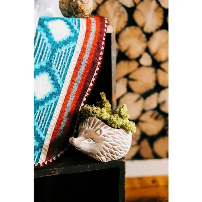CLEARANCE Hedgehog Planter