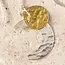 Nova Moons Mixed Metal Earrings