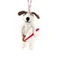 Surf Dog Ornament