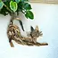 Driftwood Wall Cat Art