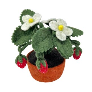 Nepal Felted Flower & Strawberry Pot