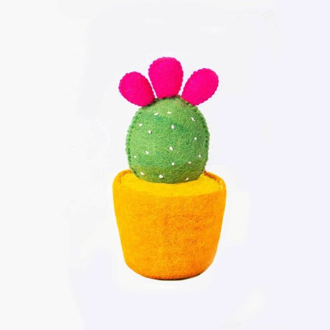 Felted Cactus Pot Plant