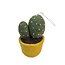 Felted Cactus Pot Plant Ornament