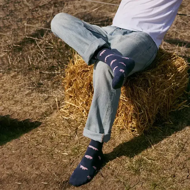 Boxed Set Socks that Save Farm Animals - Medium