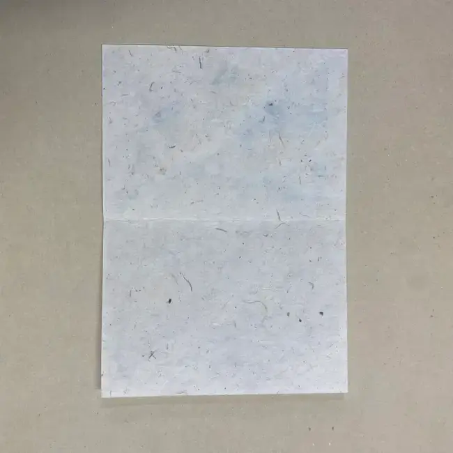 Lily Pad Greeting Card