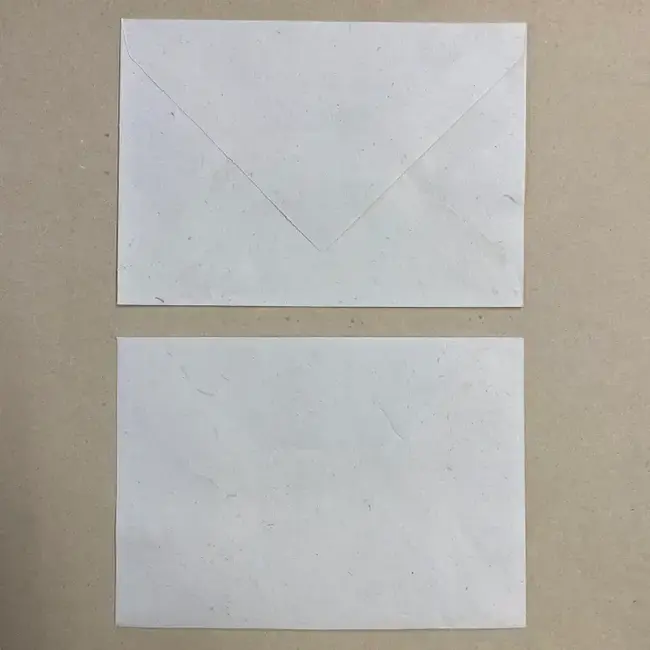 Lily Pad Greeting Card