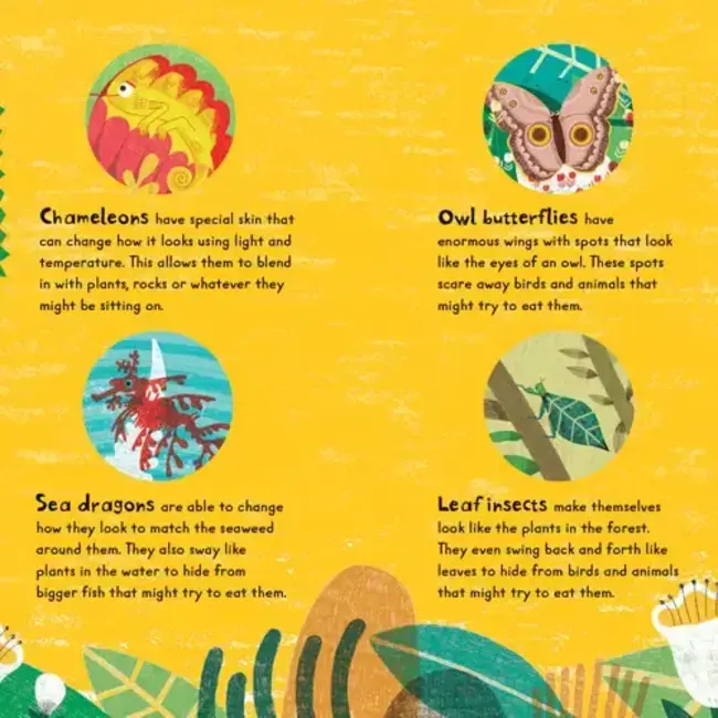 Slide-and-See Board Book - Sneak!