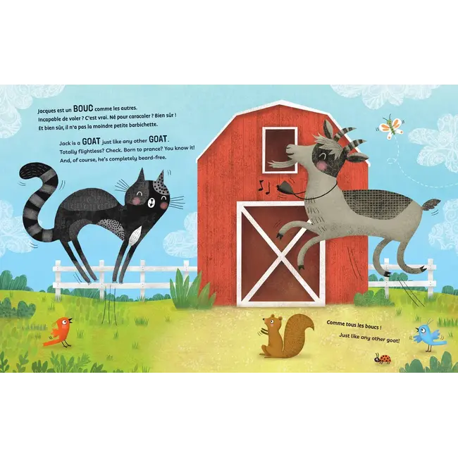 Jet the Cat (Is Not a Cat) (Bilingual French & English) Board Book