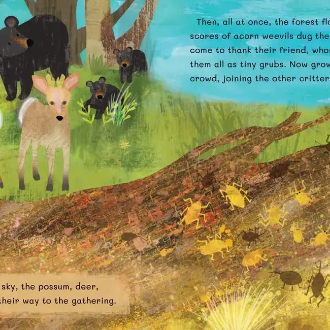 Thank You, Old Oak Hardcover