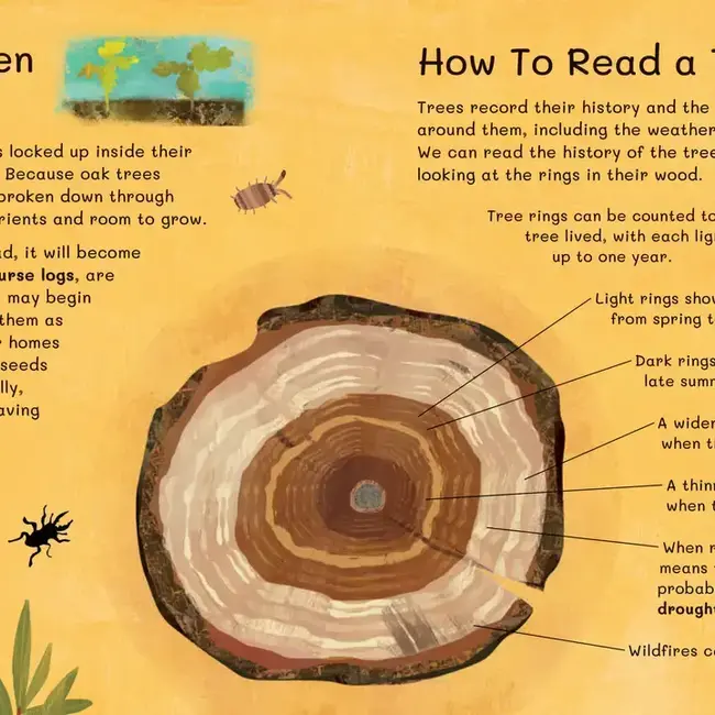 Thank You, Old Oak Hardcover