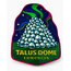 Magnet - Talus Dome