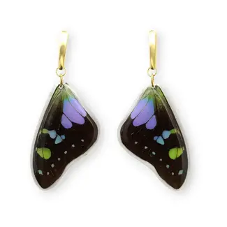 Canada Butterfly Jewelry Purple Wing Whole Wing Earrings