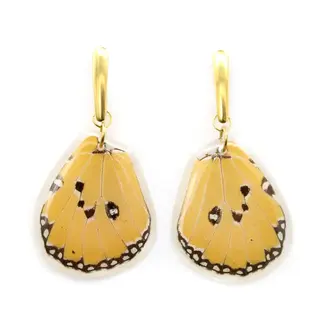Canada Butterfly Jewelry African Monarch Whole Wing Earrings