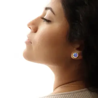 Canada Butterfly Jewelry Blue Morpho Stud Earrings