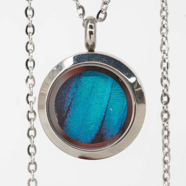 Butterfly Jewelry Blue Morpho Round Pendant Necklace