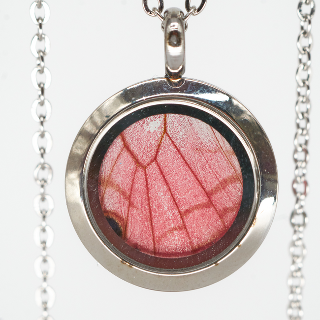 Butterfly Jewelry Blushing Phantom Round Pendant Necklace