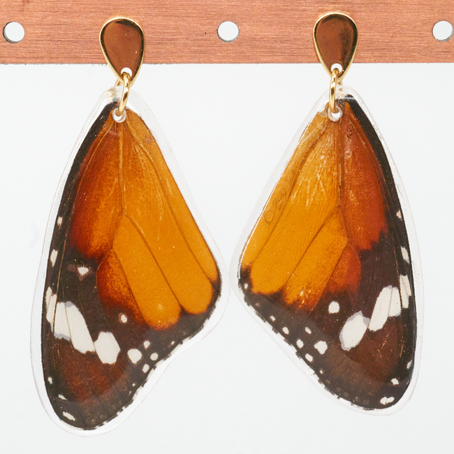 Butterfly Jewelry African Monarch Whole Wing Earrings