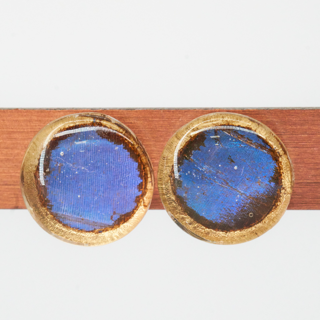 Butterfly Jewelry Blue Morpho Stud Earrings