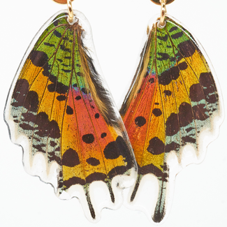Canada Butterfly Jewelry Sunset Moth Whole Wing Earrings