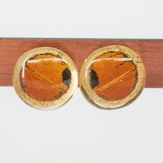 Canada Butterfly Jewelry Sunset Moth Stud Earrings